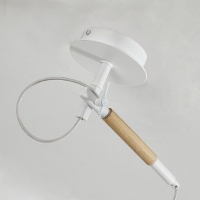Светильник на штанге F-promo Eureka 3005-1P в Кургане - kurgan.mebel24.online | фото 8