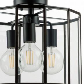Светильник на штанге Lightstar Genni 798237 в Кургане - kurgan.mebel24.online | фото 4