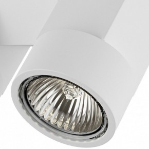 Светильник на штанге Lightstar Illumo X2 051036 в Кургане - kurgan.mebel24.online | фото 2