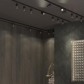 Светильник на штанге Novotech Elina 370777 в Кургане - kurgan.mebel24.online | фото 4