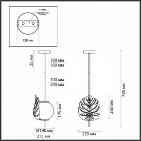 Светильник на штанге Odeon Light Jungle 4865/1 в Кургане - kurgan.mebel24.online | фото 3