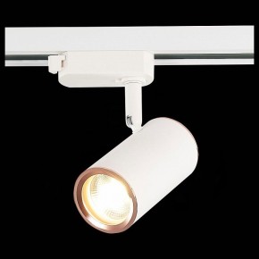 Светильник на штанге ST-Luce Cromi ST301.526.01 в Кургане - kurgan.mebel24.online | фото 6