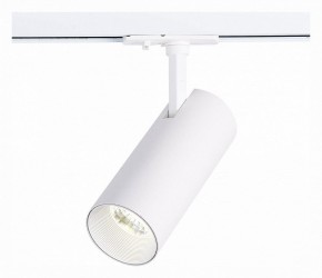 Светильник на штанге ST-Luce Mono ST350.536.20.36 в Кургане - kurgan.mebel24.online | фото 2