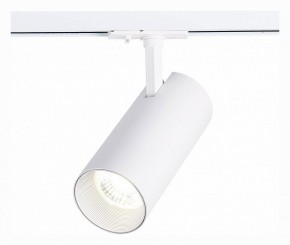 Светильник на штанге ST-Luce Mono ST350.536.30.36 в Кургане - kurgan.mebel24.online | фото 2