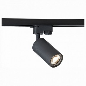 Светильник на штанге ST-Luce Solt ST300.406.01 в Кургане - kurgan.mebel24.online | фото 1
