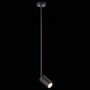 Светильник на штанге ST-Luce Sormano SL1206.403.01 в Кургане - kurgan.mebel24.online | фото 3