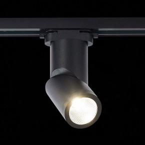 Светильник на штанге ST-Luce ST650 ST650.446.10 в Кургане - kurgan.mebel24.online | фото 2