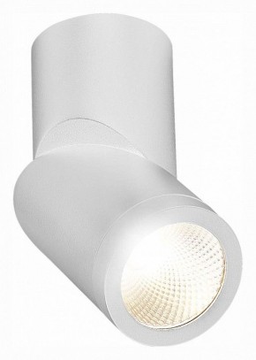 Светильник на штанге ST-Luce ST650 ST650.542.10 в Кургане - kurgan.mebel24.online | фото 3