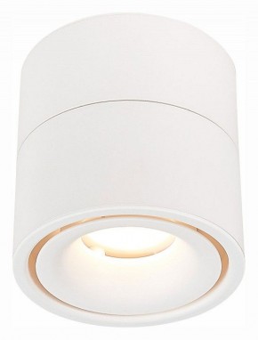 Светильник на штанге ST-Luce ST652 ST652.532.12 в Кургане - kurgan.mebel24.online | фото 2
