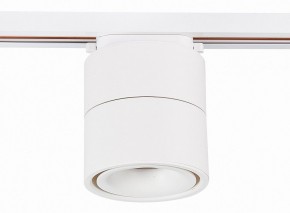 Светильник на штанге ST-Luce ST652 ST652.546.12 в Кургане - kurgan.mebel24.online | фото 2
