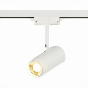 Светильник на штанге ST-Luce Zoom ST600.536.12 в Кургане - kurgan.mebel24.online | фото 2