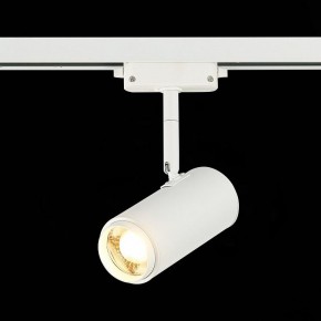 Светильник на штанге ST-Luce Zoom ST600.536.12 в Кургане - kurgan.mebel24.online | фото 4