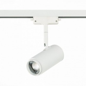 Светильник на штанге ST-Luce Zoom ST600.546.12 в Кургане - kurgan.mebel24.online | фото 3