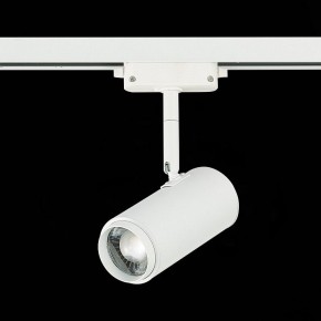 Светильник на штанге ST-Luce Zoom ST600.546.12 в Кургане - kurgan.mebel24.online | фото 5