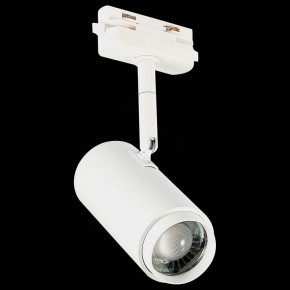 Светильник на штанге ST-Luce Zoom ST600.546.12 в Кургане - kurgan.mebel24.online | фото 6