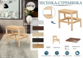Табурет Стремянка в Кургане - kurgan.mebel24.online | фото 6