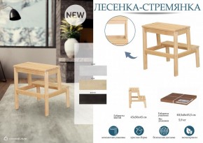 Табурет Стремянка в Кургане - kurgan.mebel24.online | фото 3