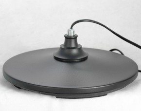 Торшер Lussole Greene LSP-0572 в Кургане - kurgan.mebel24.online | фото 4