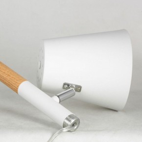Торшер Lussole Buckeye LSP-0628 в Кургане - kurgan.mebel24.online | фото 4