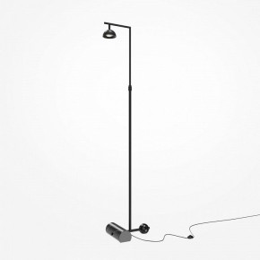 Торшер Maytoni Pikant MOD372FL-L10B3K в Кургане - kurgan.mebel24.online | фото 2
