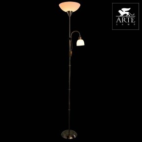 Торшер с подсветкой Arte Lamp Duetto A9569PN-2AB в Кургане - kurgan.mebel24.online | фото 3