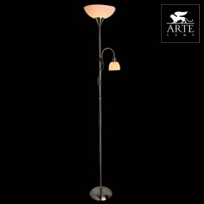 Торшер с подсветкой Arte Lamp Duetto A9569PN-2SS в Кургане - kurgan.mebel24.online | фото 3