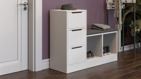 Тумба для обуви Тип 14 в Кургане - kurgan.mebel24.online | фото 5