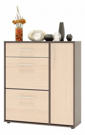 Тумба для обуви ТП-4 в Кургане - kurgan.mebel24.online | фото