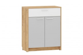 Тумба НМ 013.76 "Нортон" (Крафт Золотой) в Кургане - kurgan.mebel24.online | фото