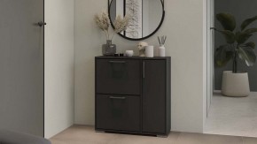 Тумбочка для обуви Тип 15 в Кургане - kurgan.mebel24.online | фото 5