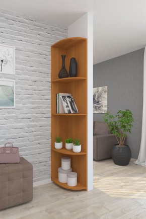 Угловой элемент ЛДСП 1 кат. в Кургане - kurgan.mebel24.online | фото 6