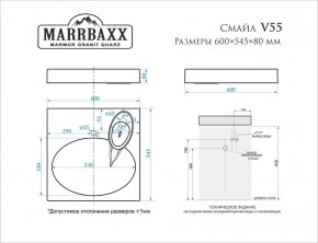 Умывальник над стиральной машиной (600*545*80) Смайл V55D1 (белый) с кронштейном без сифона (V55D1) в Кургане - kurgan.mebel24.online | фото 2