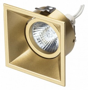 Встраиваемый светильник Lightstar Domino 214503 в Кургане - kurgan.mebel24.online | фото 2