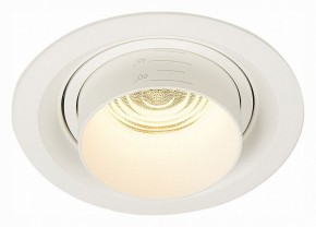 Встраиваемый светильник ST-Luce Zoom ST701.538.12 в Кургане - kurgan.mebel24.online | фото 2