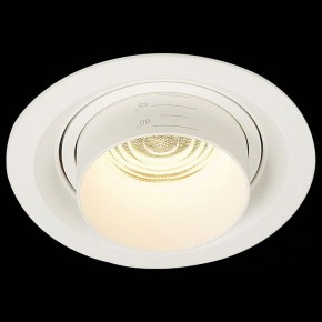 Встраиваемый светильник ST-Luce Zoom ST701.538.12 в Кургане - kurgan.mebel24.online | фото 4