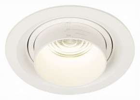 Встраиваемый светильник ST-Luce Zoom ST701.548.12 в Кургане - kurgan.mebel24.online | фото 2